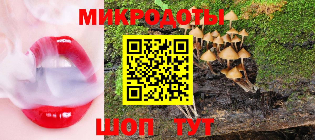 Галлюциногенные грибы Psilocybe Сосновоборск