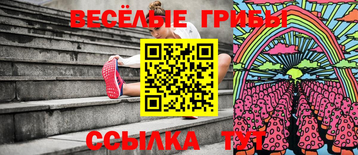 Галлюциногенные грибы Cubensis  Псилоцибиновые грибы мицелий  Сосновоборск  наркошоп  Вход с VPN 